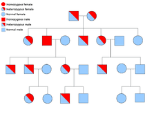 Heredity Wikipedia