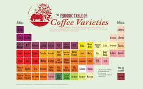 Infographic Periodic Table Of Coffee Varieties Or Cultivars Coffee Varieties Coffee Infographic Coffee Type