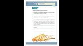 Libro desafíos matemáticos sexto grado contestado. Desafio 14 Cuarto Grado Alcanza Pagina 32 Del Libro De Matematicas De 4 Grado Youtube