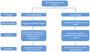 Principles Of Anti Angiogenesis Gene Therapy The Flowchart