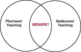 Venn Diagram Of Pharisee And Sadducee Teaching Teaching Venn Diagram Diagram