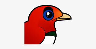 We did not find results for: About The King Bird Of Paradise King Bird Of Paradise Png Image Transparent Png Free Download On Seekpng