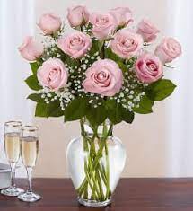 Cut flowers floral flowers flower vases poppy wreath pumpkin images remembrance sunday islamic art calligraphy cute pumpkin flower backgrounds. 12 Light Pink Roses In A Vase In Brooklyn Ny Flowers By Emil