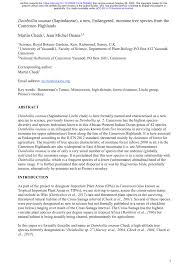 Image result for Deinbollia kilimandscharica