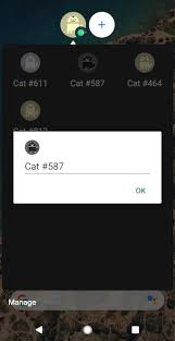 For android 11, its easter egg is called the android neko game. How To Play Android 11 Easter Egg Game Android Neko Cat Game Android Guides