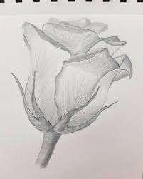 We did not find results for: Art Sketches Nature Drawing Sketches Easy Realistic Flower Drawing