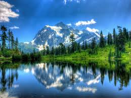 1024x768 collection wallpapers images screensavers beautiful wallpaper. Photos Of Summer Scenes Free Summer Scene Wallpaper Download The Free Summer Scene Wallpaper Landscape Wallpaper Summer Landscape Summer Scenes