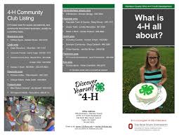 What is 4-H all about?