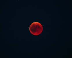 Search free blood moon wallpapers on zedge and personalize your phone to suit you. Hd Wallpaper Blood Moon During Night Time Sky Ecipse Red Lunar Astrophotography Wallpaper Flare