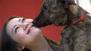 Jun 06, 2021 · 新冠肺炎台灣疫情嚴峻，昨日新增37死、全國更已逾2百人死於疫情，但民進黨立委吳思瑤卻在臉書po文喊「為台日友好，乾杯」，令外界傻眼，對此. ç«‹é™¢å¥³å°‡è®Šå¥´æ‰ å³æ€ç'¤è¦ªç‚ºæ„›çŠ¬zazaå‚™å¥½æ–™