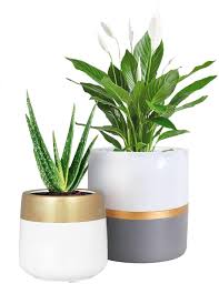 But what about indoor plants? 2 Pcs Ceramic Pots Indoor Home Decor With Drainage Hole Timeyard