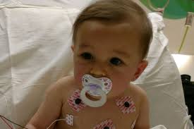 Fundraiser for Hailey Wexler by Alex Wexler : Donate to Jeanie June's Med  Bills