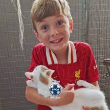 ADOPT FROM UMNGENI SPCA💙🐶 Meet Darcy, this 4 week old male, tan, cross  bred pup wants toys , playtime and a family to protect and love him. Please  tell all the dog