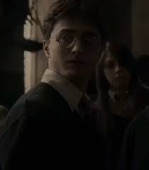 Harry Potter Stalker