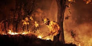 See authoritative translations of incendio in english with example sentences, phrases and audio pronunciations. Se Han Registrado 205 Incendios Forestales En Lo Que Va Del Ano En Jalisco El Informador