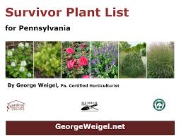 My granny says that there is a special flower for each month of the year. Central Pa Garden George Weigel
