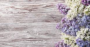 Fleurs Lilas Sur Le Fond En Bois Branche De Fleur Sur Le Bois De Vintage Lilac Background Lilac Flowers Wood Flowers