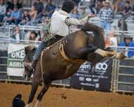 11th Okeechobee Extreme Rodeo