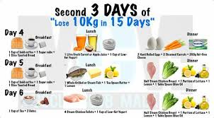 lose 10kg in 15 days weight loss diet plan dr lokman