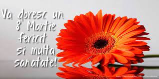 8 martie este sărbătoare oficială în țări precum: Felicitari De 8 Martie Orange Flower Pictures Daisy Wallpaper Gerbera Daisy