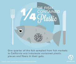 10 Shocking Infographics About Plastic Waste In The Oceans Plastic Pollution Facts Ocean Pollution Facts Ocean Design