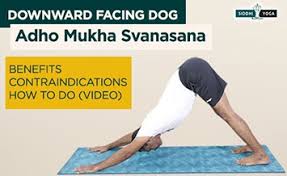 Yoga Asanas Poses Benefits Step By Step How To Do