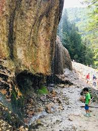 Es gibt noch keine ähnlichen routen. La Cascada Urlatoarea Si Rezervatia De Zimbrii Din Vama Buzaului Tara Dacilor