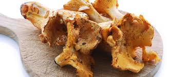 We did not find results for: Finferli Caratteristiche Pulizia Conservazione E Ricette Cucinarefunghi Com