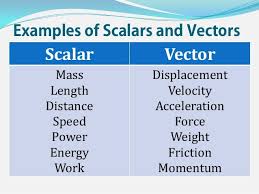 Image Result For Vector Versus Scalar Energy Work Physics Speed Force