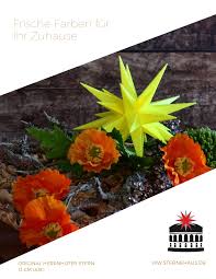 Herrnhuter Stern 13cm Limone Sonderedition 2019 Herrnhuter Sterne Herrnhuter Sterne