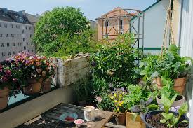 Versende sie direkt in 2 minuten an den anbieter. Ein Traumbalkon In Munchen Und Beirut Garten Fraulein Der Garten Blog