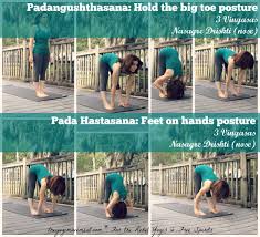 Asana Lab Touch Your Toes The Yogi Movement Asana Tight Hamstrings Help Losing Weight