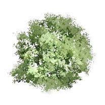 Garden Design Software For Creating Garden Design Plans Garden Design Software Trees Top View Tree Photoshop