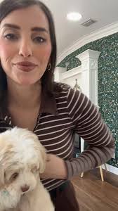 Smeraglia's Teddy Bear Goldendoodles & Schnoodles