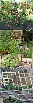 Maybe you would like to learn more about one of these? 19 Erfolgreiche Wege Zum Bauen Von Diy Spalieren Fur Gemuse Und Obst Bauen Diyspalieren Erfolgreiche Fur G Diy Trellis Trellis Panels Garden Trellis