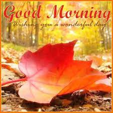 Share good morning image on whatsapp, facebook, twiter, instagram, pinterest etc. Sunday Morning Fall Quotes Good Morning Autumn Garden Chores Autumn Leaves Garden Dogtrainingobedienceschool Com