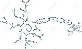Weissen Hintergrund Vektor Illustration Eines Neuron Lizenzfrei Nutzbare Vektorgrafiken Clip Arts Illustrationen Image 52749692 If you find any inappropriate image content on pngkey.com, please contact us and we will take appropriate action.