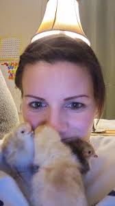 Just picked up 1 RIR and 3 Buff Brahma chicks.