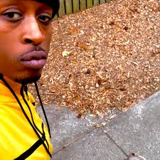 dangerookipawaa's reaction was EVERYTHING! 🤣😂 Have you tried the “good  night” trend with your friends? 📲