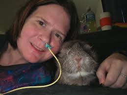 Words of wisdom from Ted the guinea pig.