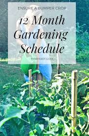 Learn how to grow a vegetable garden vegetable gardening for beginners where to put a to start your garden, use a general vegetable fertilizer. Garden Planting Schedule Year Round Infographic The Whoot Vegetable Garden Tips Planting Plan Fall Garden Vegetables