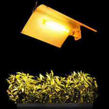 Maybe you would like to learn more about one of these? Indoor Grow Lights Hps Vs Cfl Vs Led Vanq Led