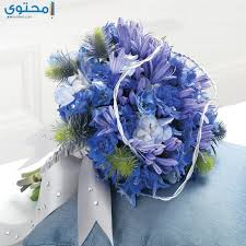 ما الحكم في ثلاث طلقات في كلمة واحدة، هل تقع. Ø¨ÙˆÙƒÙŠÙ‡Ø§Øª ÙˆØ±Ø¯ Ø´ÙŠÙƒ Ø¬Ø¯Ø§ Ù…ÙˆÙ‚Ø¹ Ù…Ø­ØªÙˆÙ‰