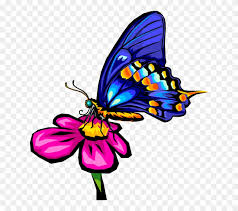 We did not find results for: Butterfly Cute Flower Clipart Novocom Top