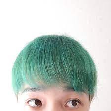 さんはinstagramを利用しています gm 夢かとおもった こんなに学校に行きたくない日はない ディズニーのシンデレラでもこんな髪色はおらん シュレックぐらい 海藻 苔 カビ 退学 マニックパニック 頭パニック 自分でするもんじゃない 恥ずかしすぎる