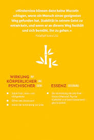 Maybe you would like to learn more about one of these? Dreiecksstellung Utthita Trikonasana Ruckseite Yoga Kartenset Yoga Inspiration Yoga Affirmationen