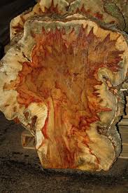 Pin On Flame Box Elder