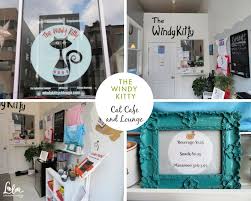 This location offers grooming, petshotel, doggie day camp, training, adoptions, veterinary, everyday adoption center and curbside pickup. Lola On The Road The Windy Kitty Cat Cafe Chicago Il Lola The Rescued Cat