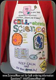 We did not find results for: Cell Model Project Cell Model Project Science Models Cell Model
