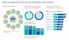 Pin By Nikko Quiggins On Risk Management Infographics Risk Management Management Risk